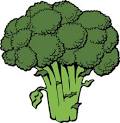Image result for broccoli clipart